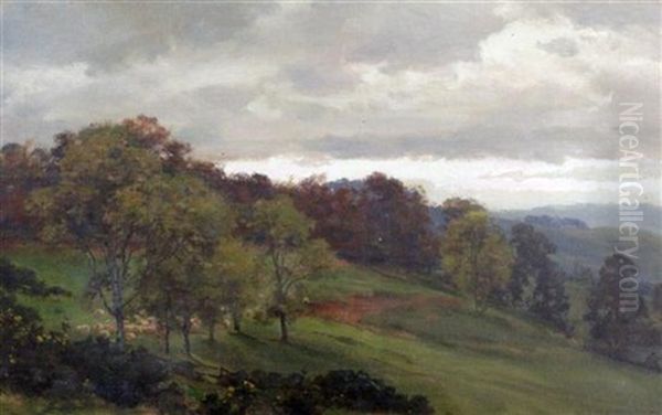 Sheep In A Landscape - view 1