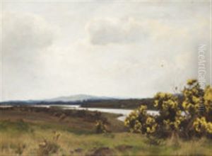 Extensive River Landscape
