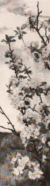 Wild Roses - view 1