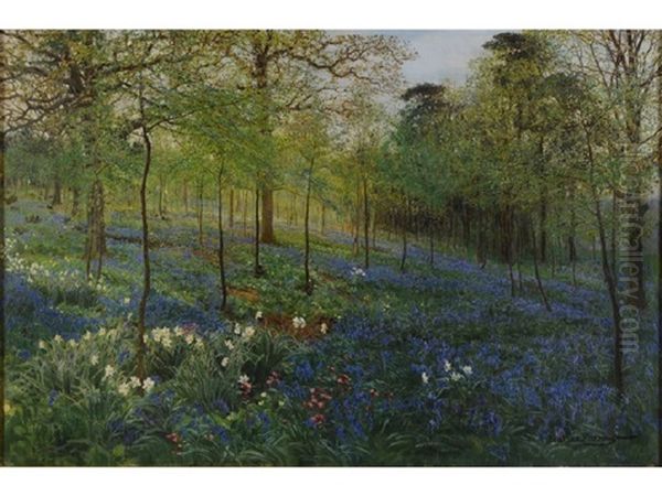 Springtime, Bluebell Wood - view 1