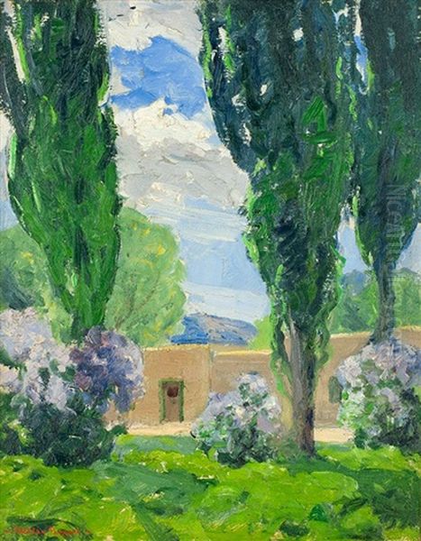 Adobe House Surrounded By Trees - view 1
