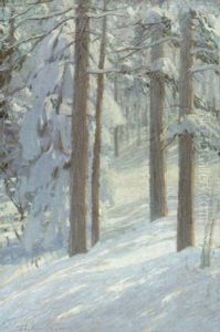 Winter Woods Winter Woods