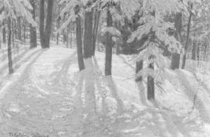 Winter Woods Winter Woods