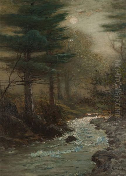 Gill Brook, River Through A Forest Interior - view 1