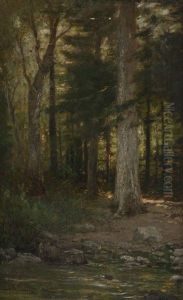 Catskill Pond, Pond In A Forest Interior