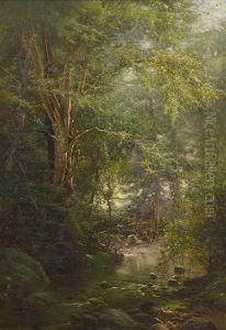 In The Woods In The Woods