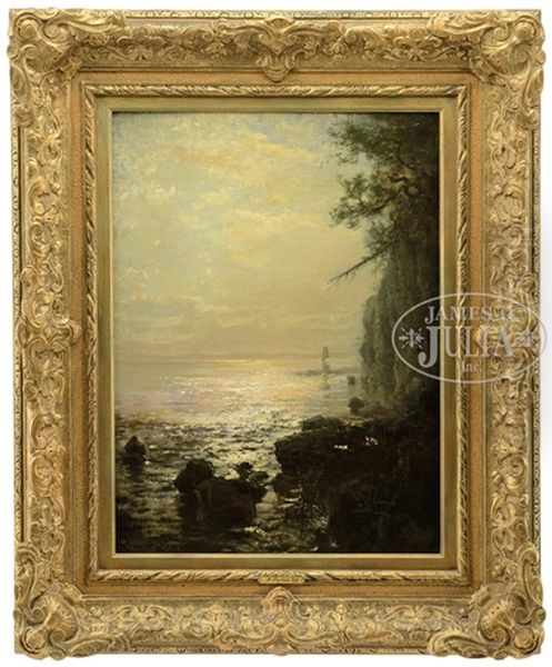 Sunlight Reflecting On The Coastal Water - view 1