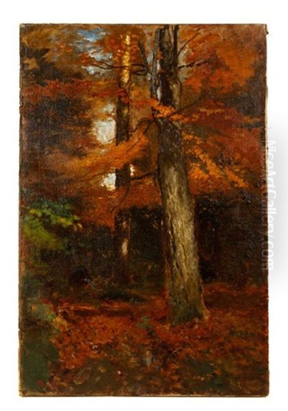 Fall Landscape - view 1