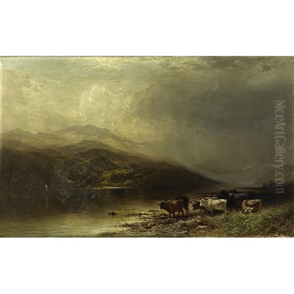 Long Horn Cattle In A Panoramic Landscape - view 1
