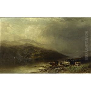 Long Horn Cattle In A Panoramic Landscape