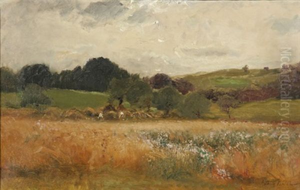 Field Of Hay - view 1