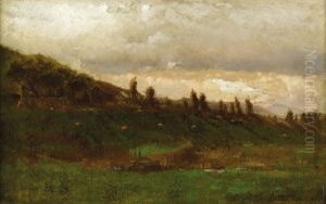 Pumpkins In A Field