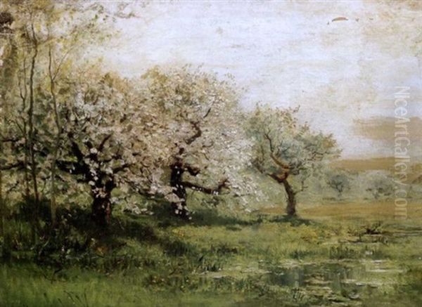 Blossom Time - view 1