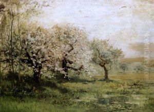 Blossom Time Blossom Time