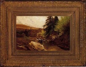 Spring Brook And Pasture, Arkville, New York
