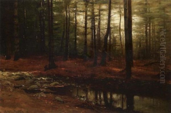 Forest Interior - view 1