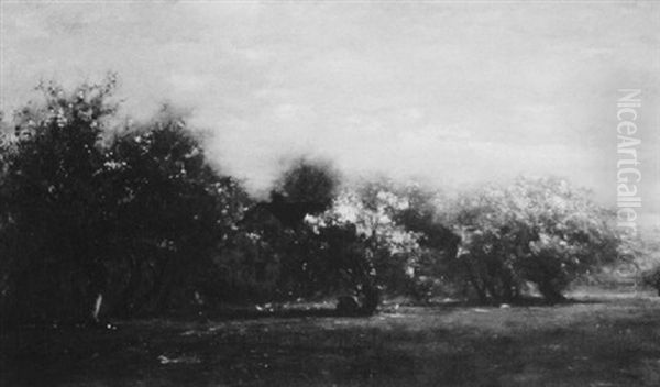 The House Across The Orchard - view 1