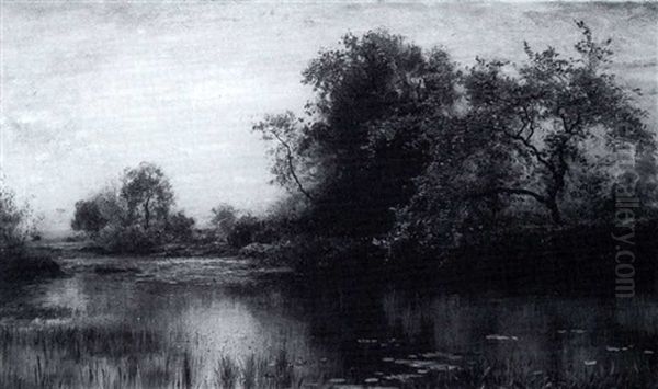 The Lily Pond - view 1