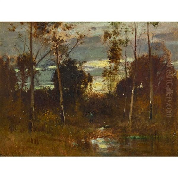 Forest Landscape - view 1