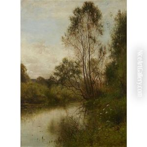 Woodland Stream
