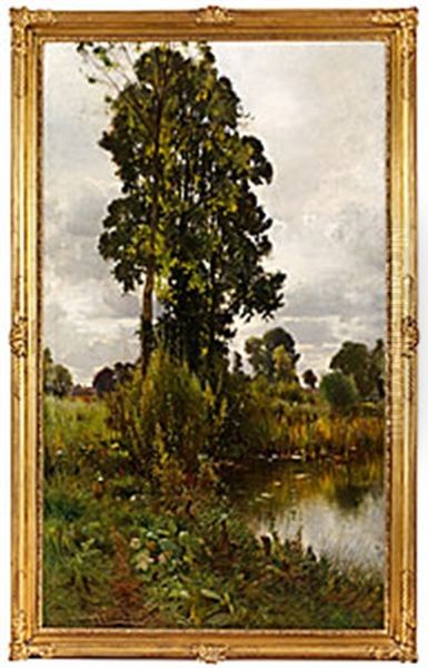 Landskap Med Sjo - view 1