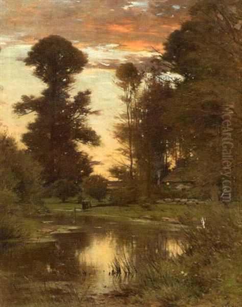 The Evening Light - view 1