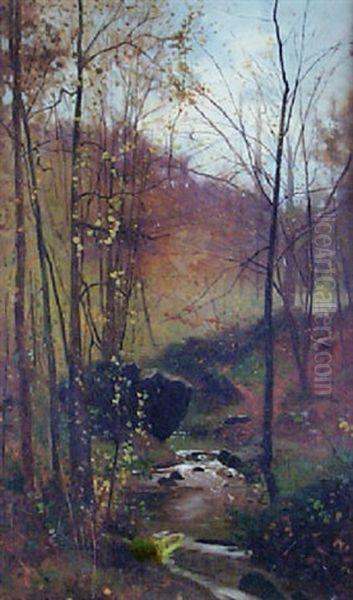 Woodland Stream - view 1