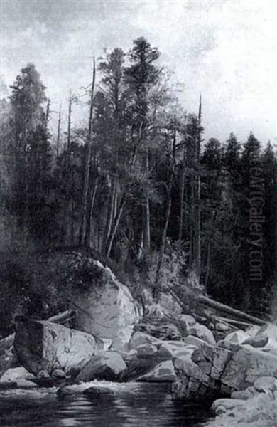 Forest Pool - view 1