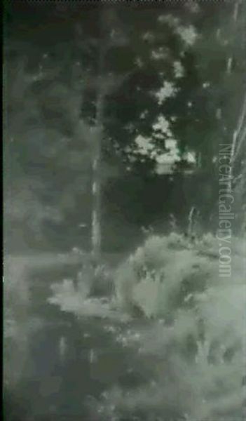 Deep In The Woods - view 1