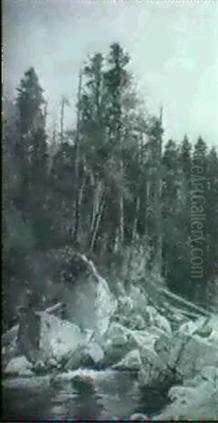 Mountain Stream - view 1