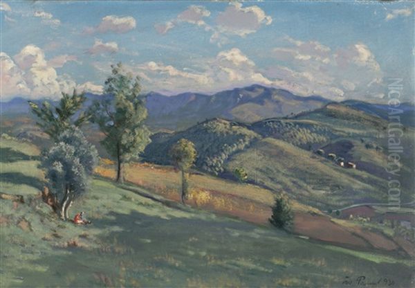 Paisaje - view 1