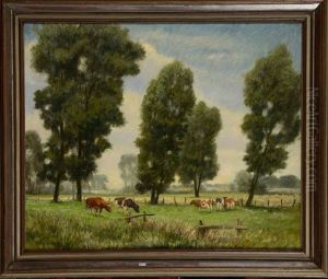 Vaches Au Pre Vaches Au Pre