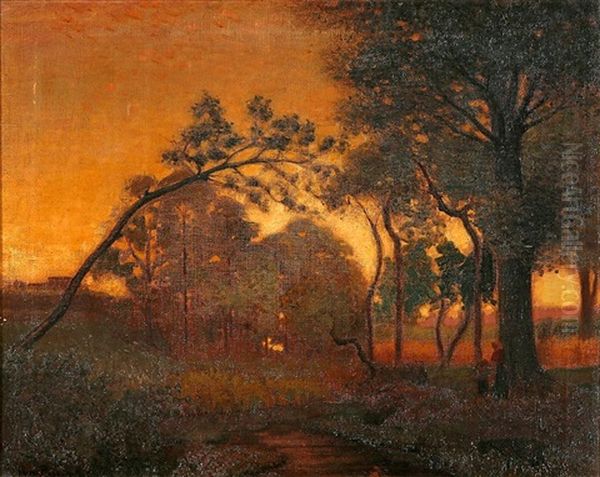 Paisaje Boscoso - view 1