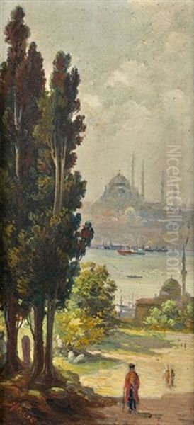 Vue De La Mosquee De Suleymaniye - view 1