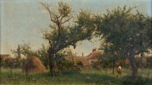 Jeune Femme Dans Un Verger