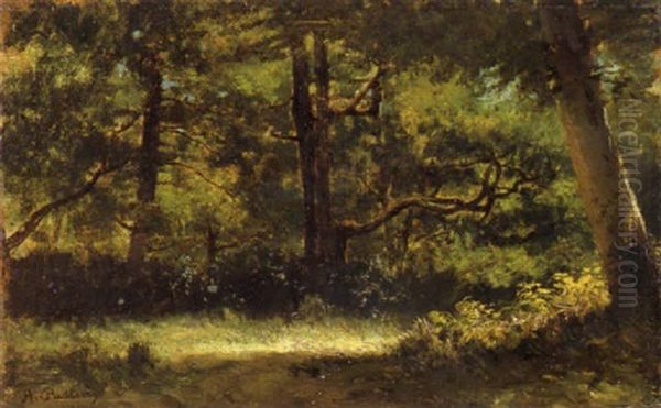 Foresta Di Fontainebleau - view 1