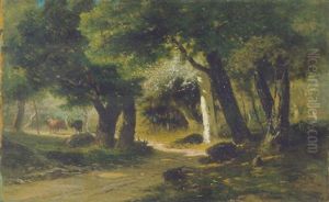 Pascolo Nel Bosco Pascolo Nel Bosco