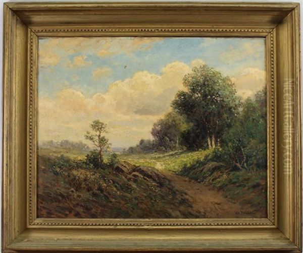 Sun Dappled Landscape - view 1