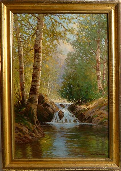 The Birches - view 1
