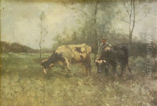 Cattle With Figure In Pasture - view 1