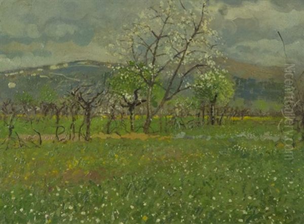 Vigneto - view 1