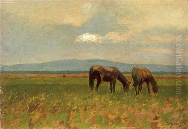 Cavalli Al Pascolo - view 1