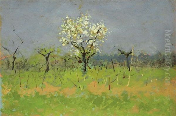Alberi In Fiore - view 1