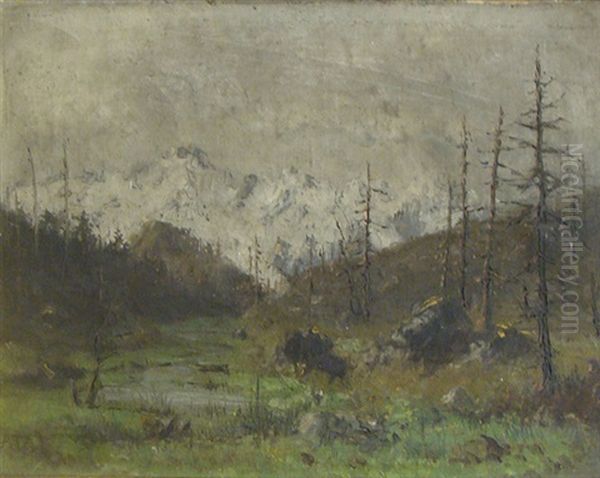 Paysage De Montagne - view 1