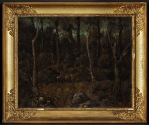 Biche Dans Le Sous-bois