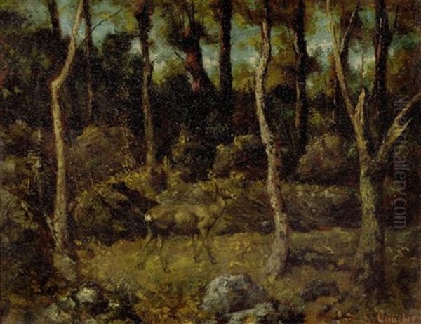 Junges Reh In Einem Wald - view 1