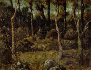 Junges Reh In Einem Wald Junges Reh In Einem Wald