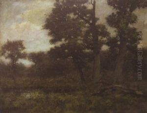 Sous-bois