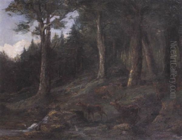 Biches Et Cerf Au Bord De La Loue - view 1
