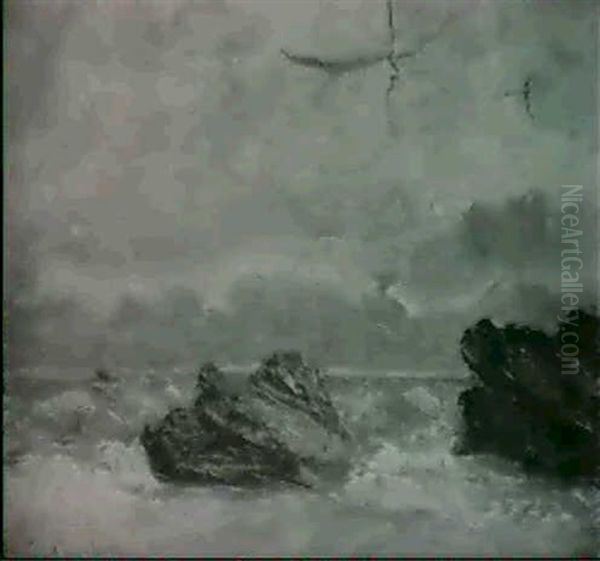 Marine - view 1